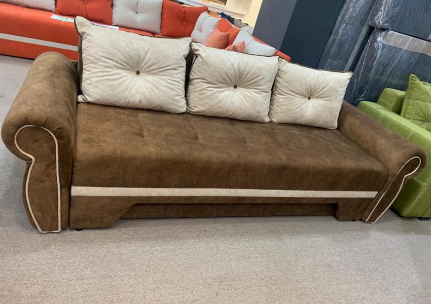 CAnapea extensibila Daria